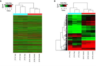 Circular RNA Expression Alteration and Bioinformatics Analysis in Rats After Traumatic Spinal Cord Injury